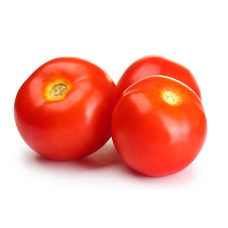 Tomate petite ronde 5 Kg