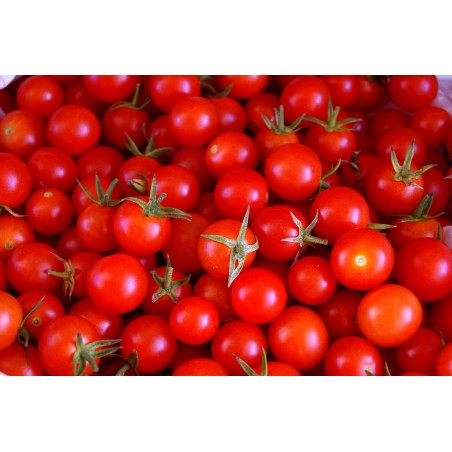 Tomate petite ronde 5 Kg