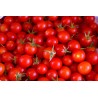 Tomate petite ronde 5 Kg