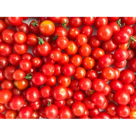 Tomate petite ronde 5 Kg